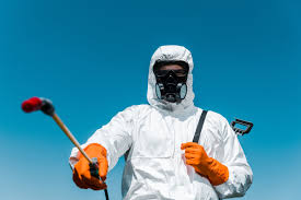 Best Residential Pest Control  in Round Lake Beach, IL